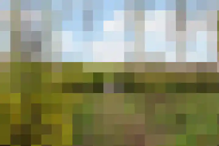 Rosenhofstraat 36 Liempde thumbnail 60