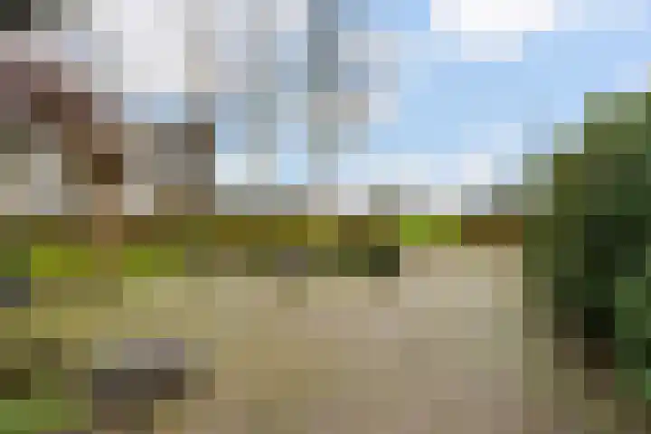 Rosenhofstraat 36 Liempde thumbnail 61