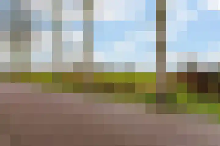 Rosenhofstraat 36 Liempde thumbnail 62