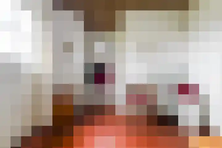 Rosenhofstraat 36 Liempde thumbnail 8