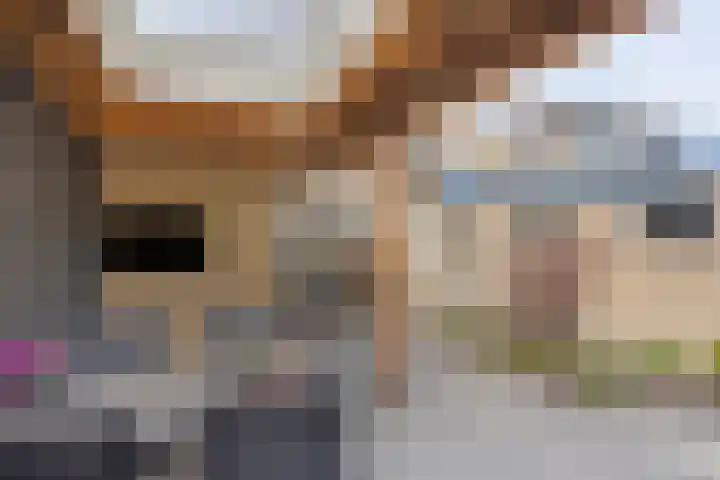 Rosenhofstraat 54 Liempde thumbnail 40
