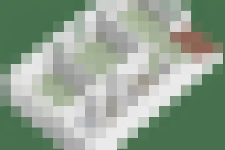 Rosenhofstraat 54 Liempde thumbnail 45