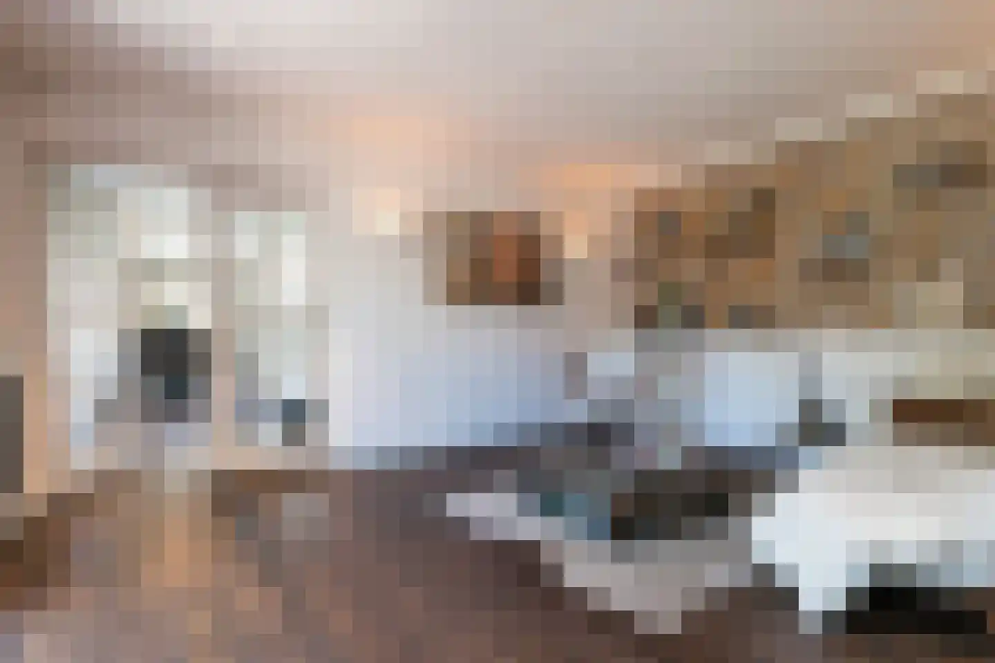 Rosenhofstraat 8 Liempde thumbnail 10
