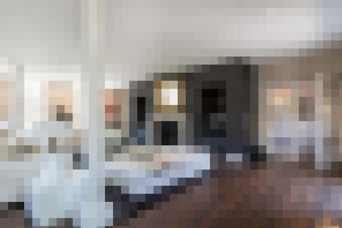 Rosenhofstraat 8 Liempde thumbnail 12