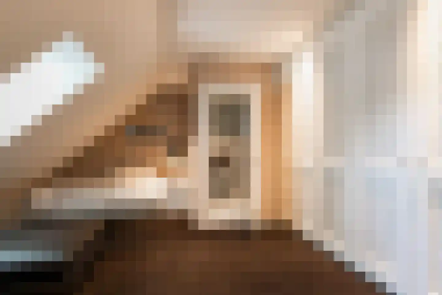 Rosenhofstraat 8 Liempde thumbnail 17