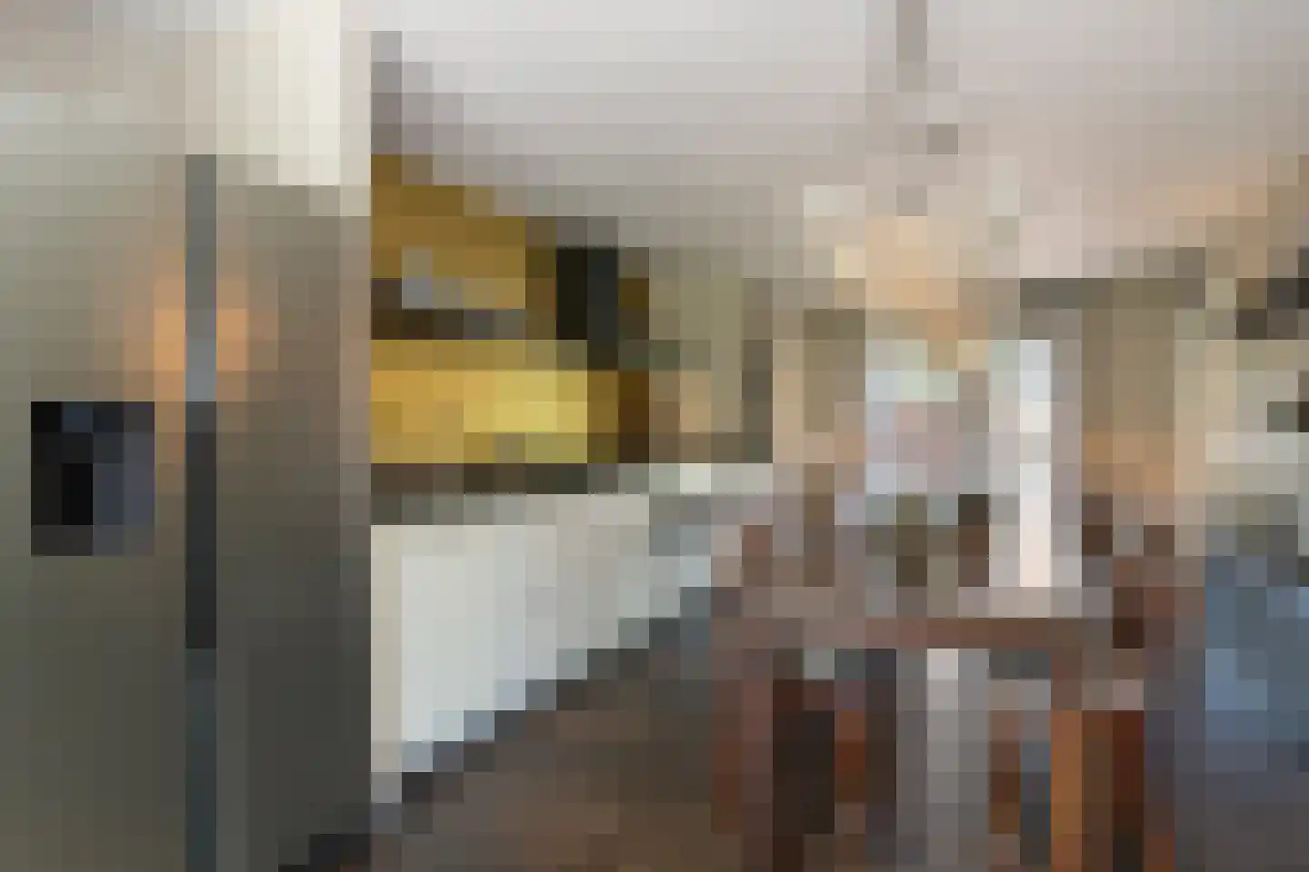 Rosenhofstraat 8 Liempde thumbnail 18