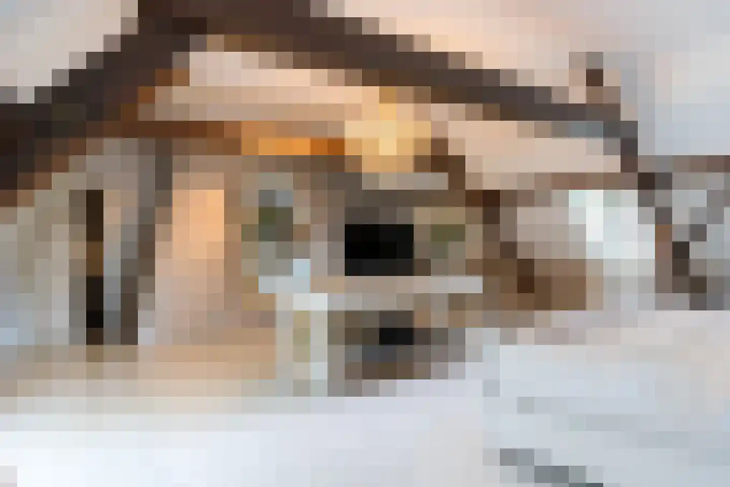 Rosenhofstraat 8 Liempde thumbnail 20