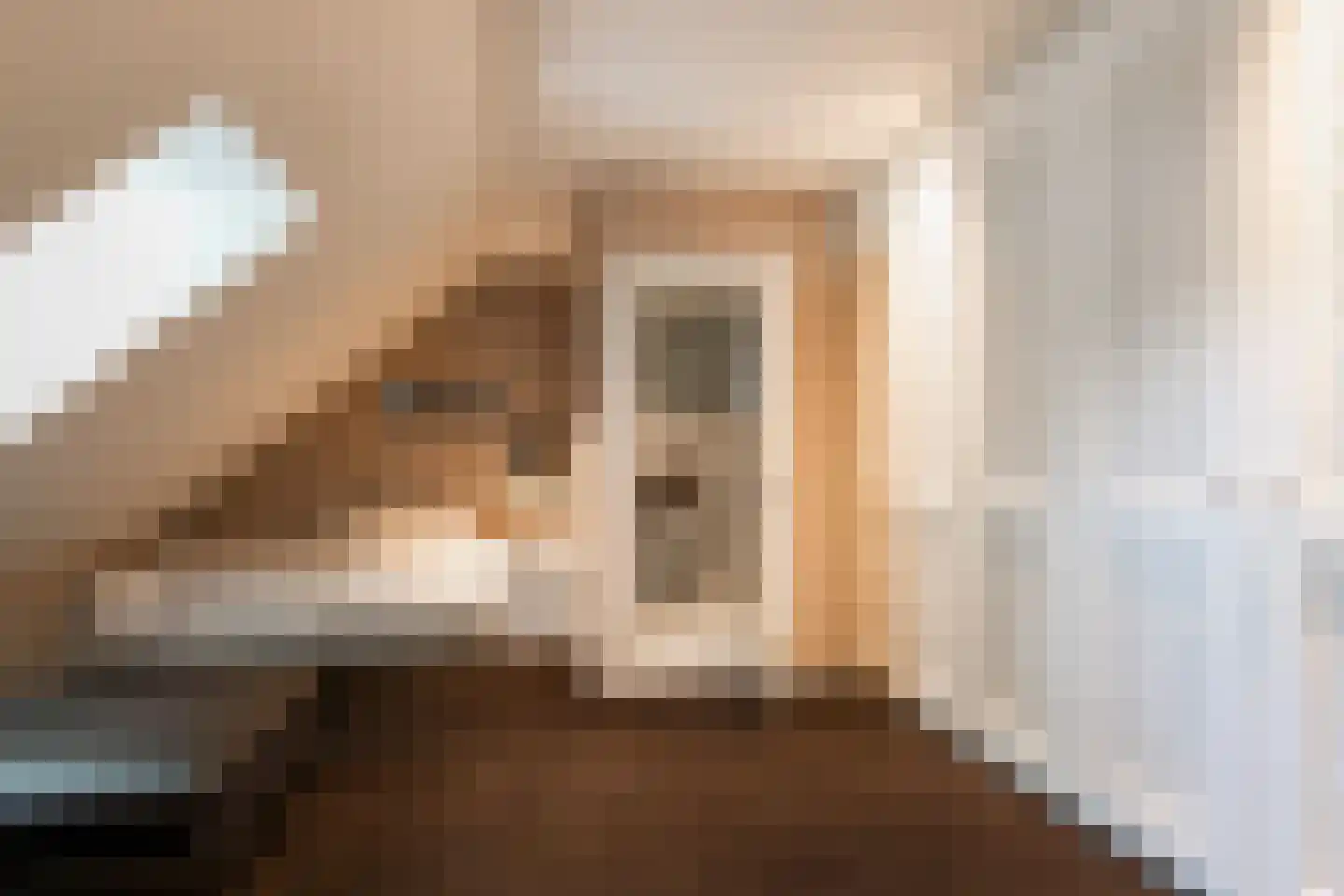 Rosenhofstraat 8 Liempde thumbnail 22