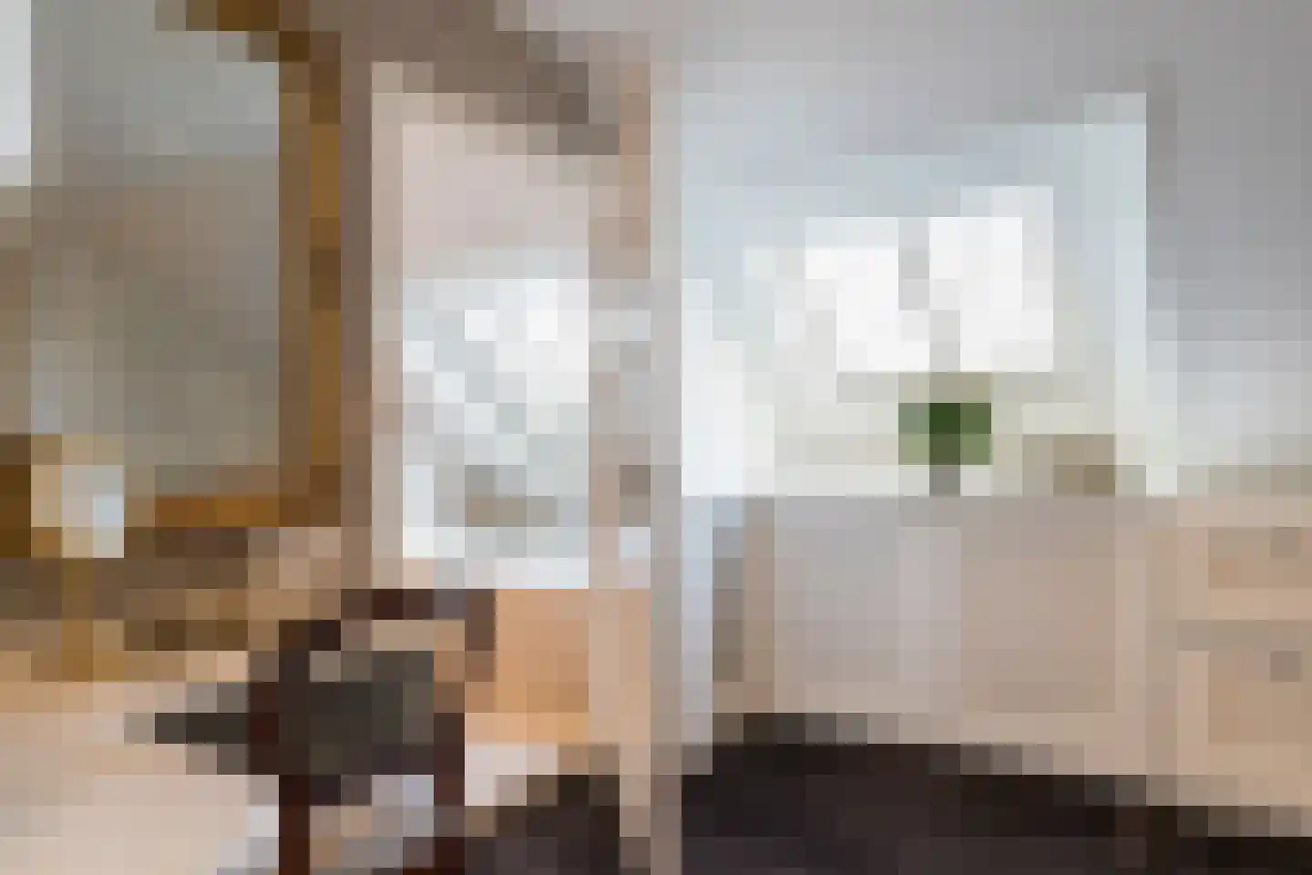 Rosenhofstraat 8 Liempde thumbnail 25