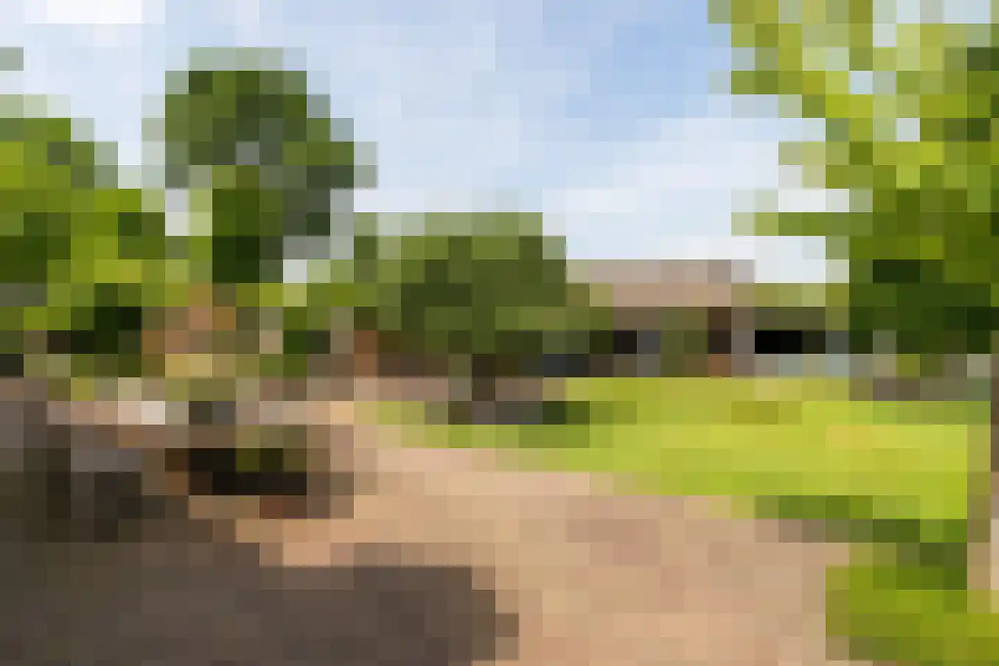 Rosenhofstraat 8 Liempde thumbnail 28