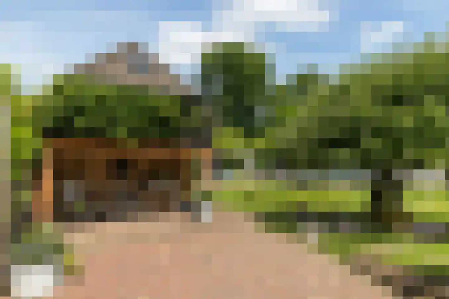 Rosenhofstraat 8 Liempde thumbnail 31