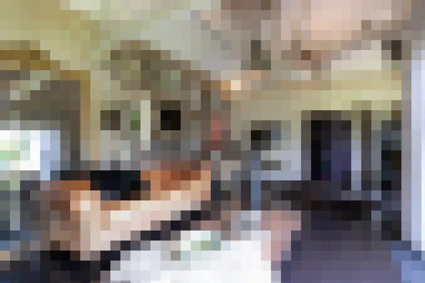 Rosenhofstraat 8 Liempde thumbnail 35