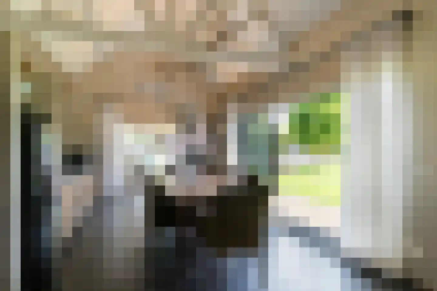 Rosenhofstraat 8 Liempde thumbnail 39