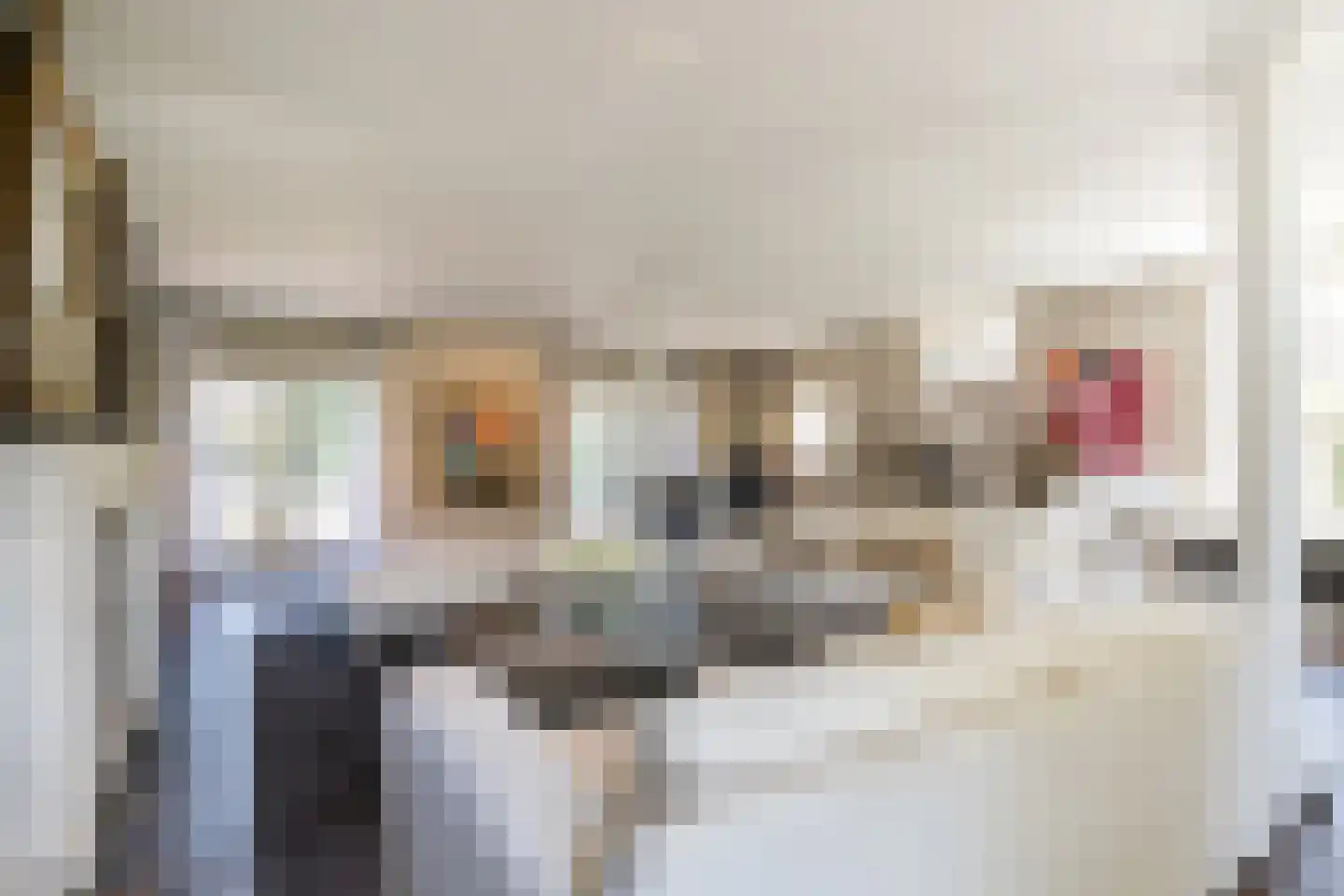 Rosenhofstraat 8 Liempde thumbnail 4