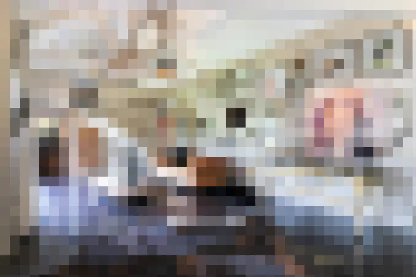 Rosenhofstraat 8 Liempde thumbnail 40