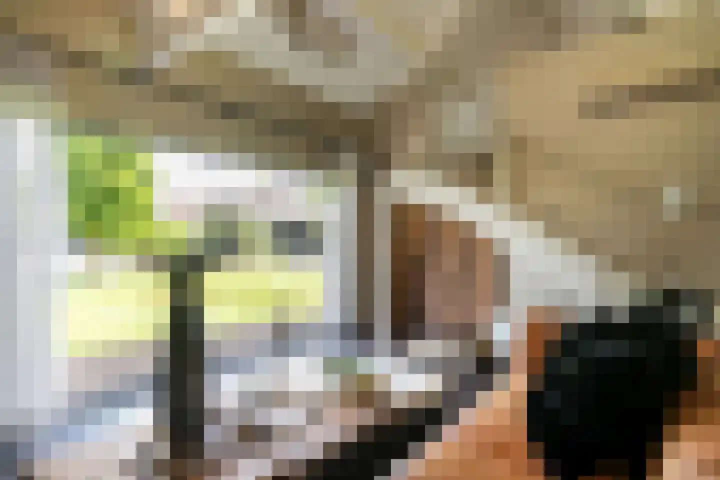 Rosenhofstraat 8 Liempde thumbnail 41