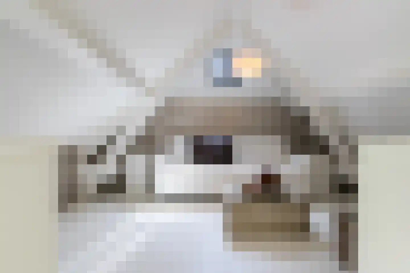 Rosenhofstraat 8 Liempde thumbnail 42
