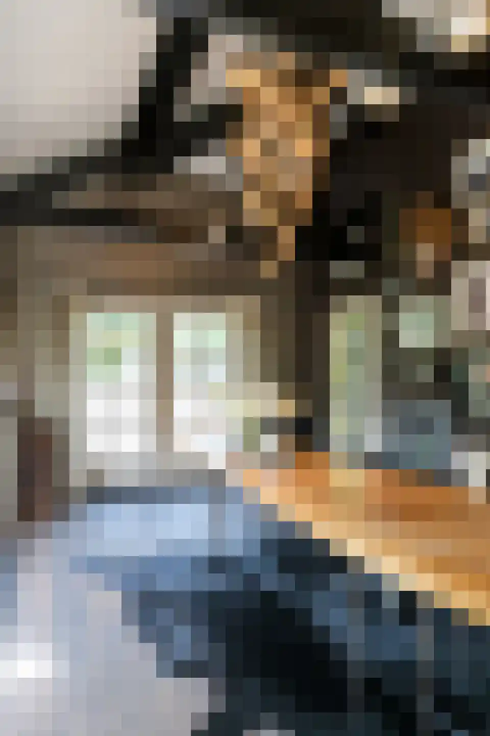 Rosenhofstraat 8 Liempde thumbnail 42