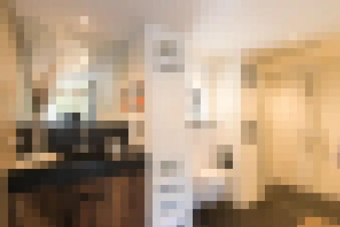 Rosenhofstraat 8 Liempde thumbnail 43