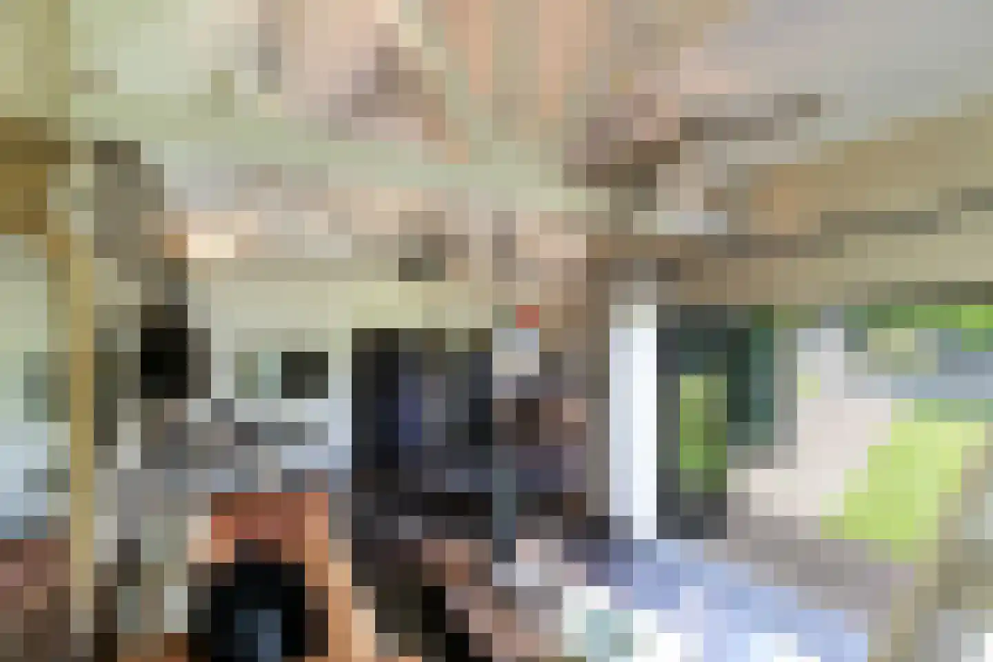 Rosenhofstraat 8 Liempde thumbnail 44