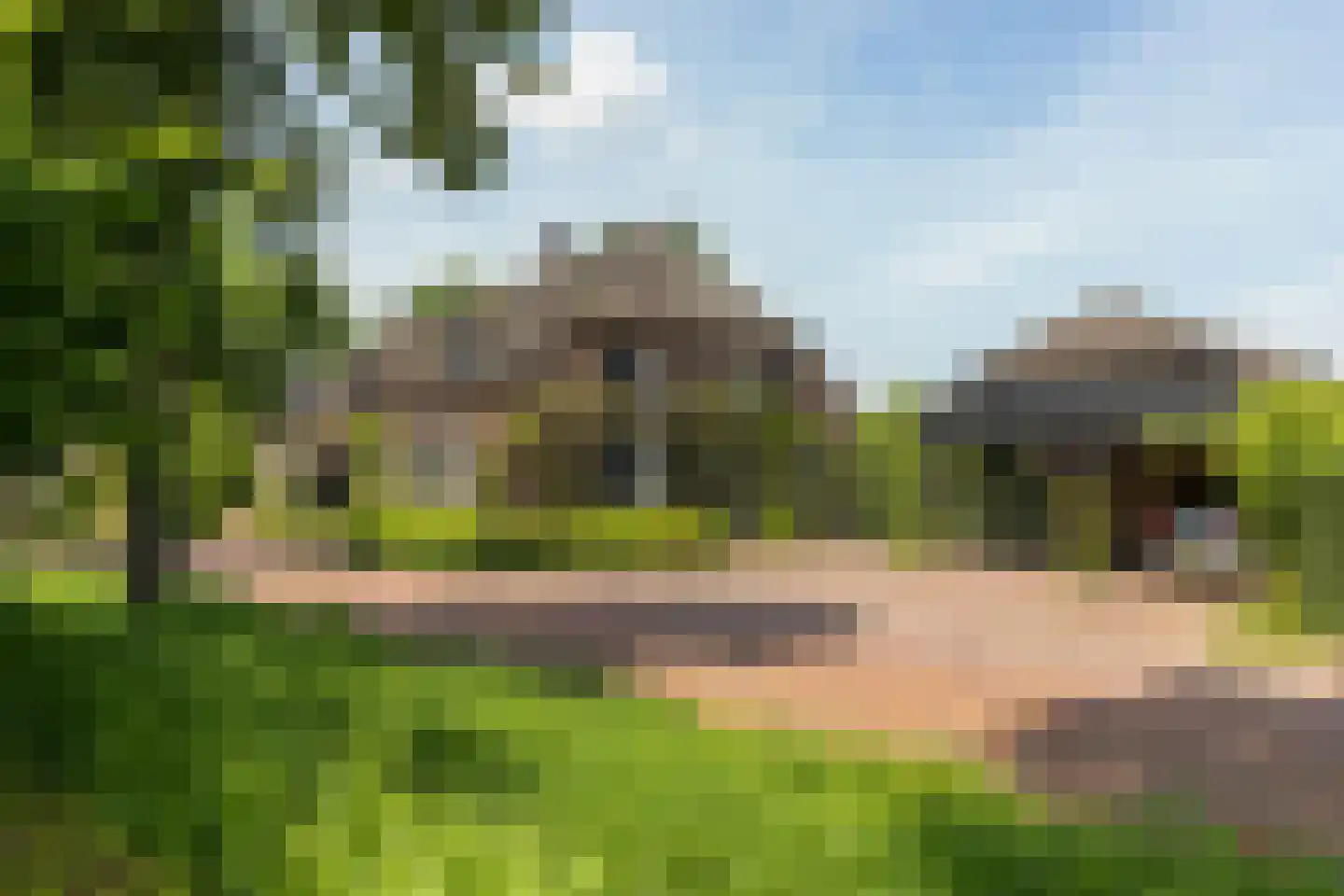 Rosenhofstraat 8 Liempde thumbnail 5