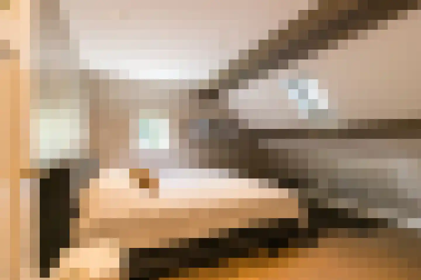 Rosenhofstraat 8 Liempde thumbnail 56