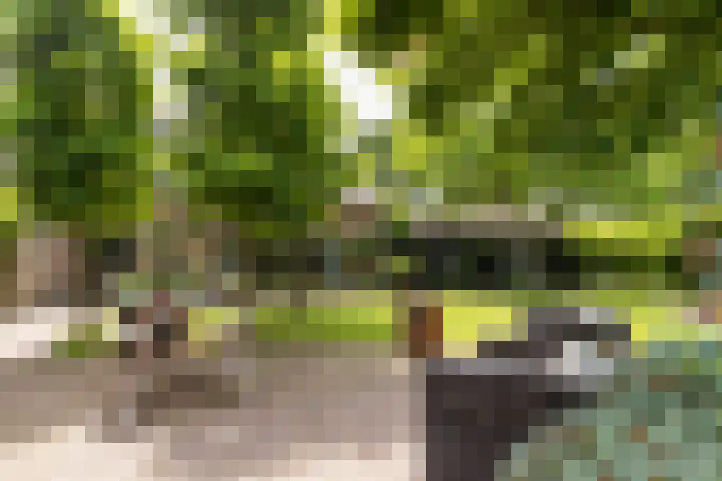 Rosenhofstraat 8 Liempde thumbnail 60