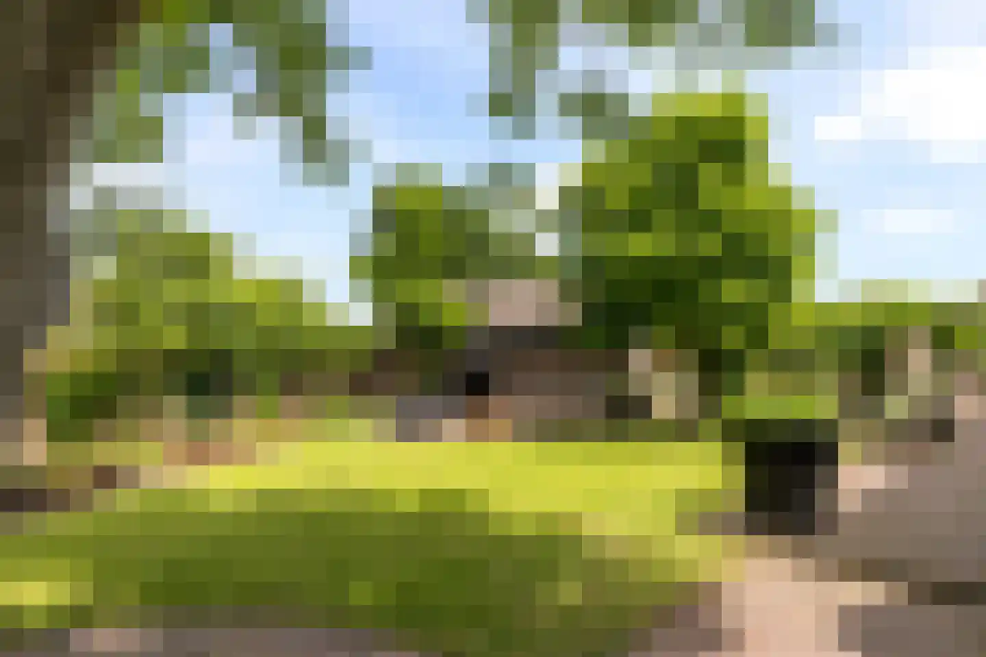 Rosenhofstraat 8 Liempde thumbnail 61