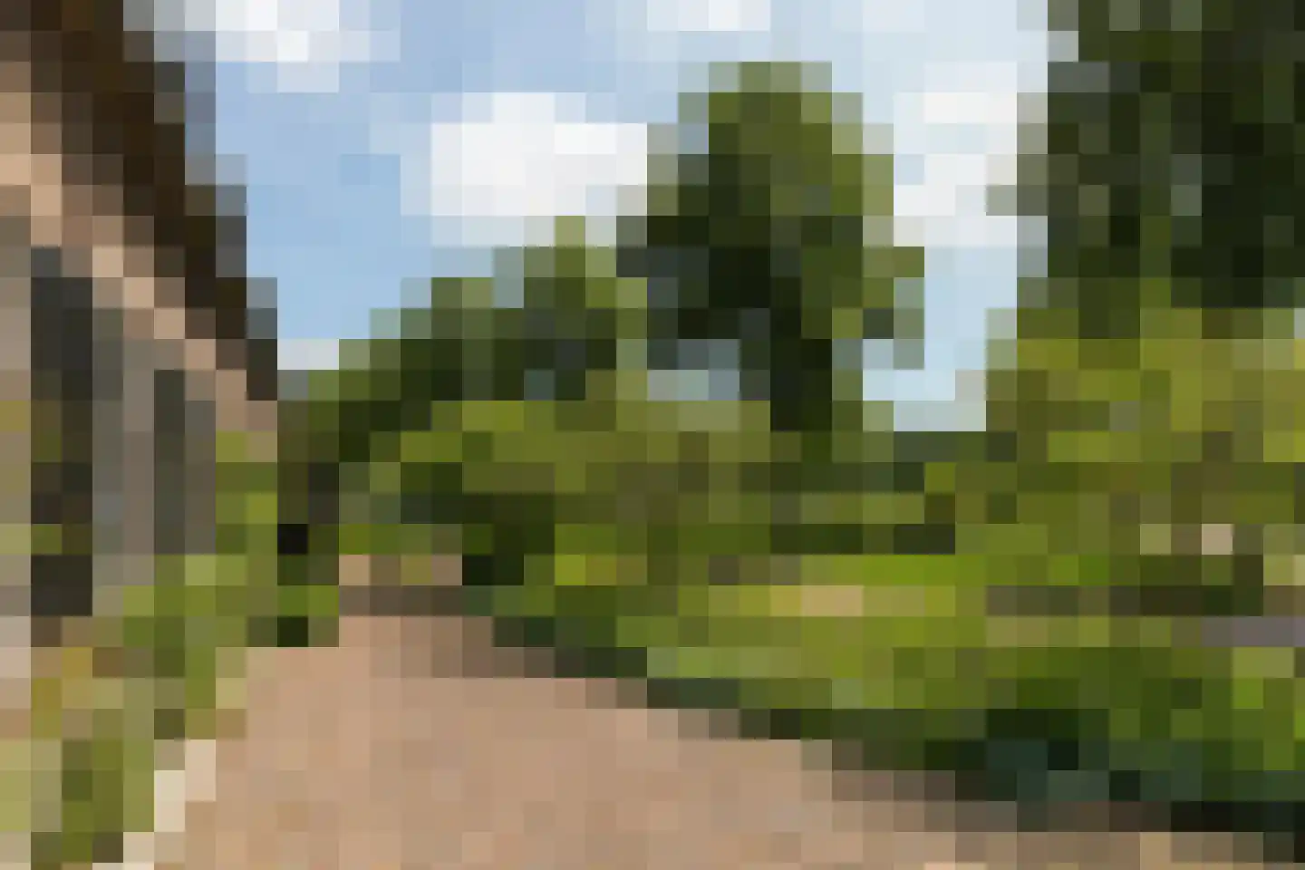 Rosenhofstraat 8 Liempde thumbnail 68