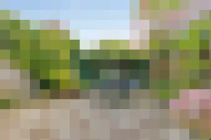 Rosenholm 18 Hoofddorp thumbnail 19