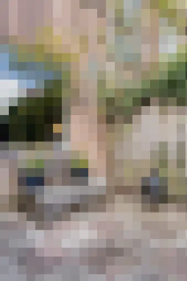 Rosenholm 18 Hoofddorp thumbnail 20