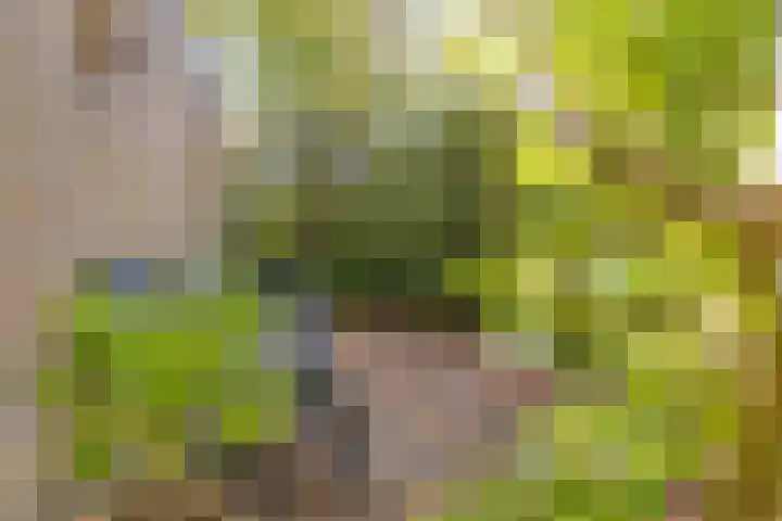 Rosenholm 18 Hoofddorp thumbnail 21