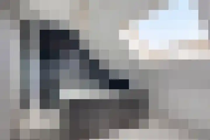 Rosenholm 18 Hoofddorp thumbnail 29