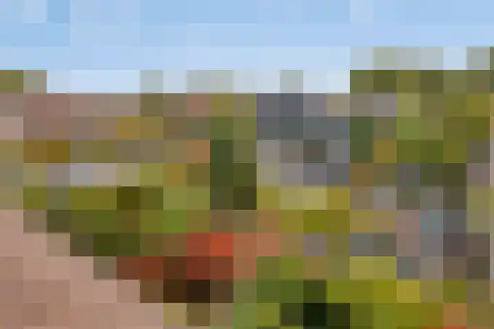 Rosenholm 18 Hoofddorp thumbnail 34