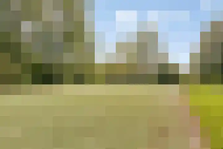 Rosenholm 18 Hoofddorp thumbnail 35