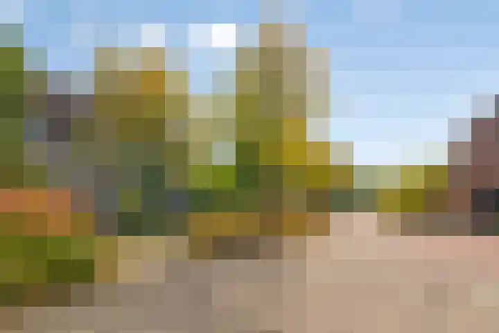 Rosenholm 18 Hoofddorp thumbnail 5