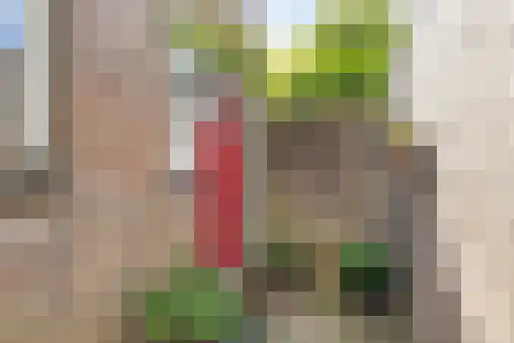 Rosenholm 18 Hoofddorp thumbnail 6