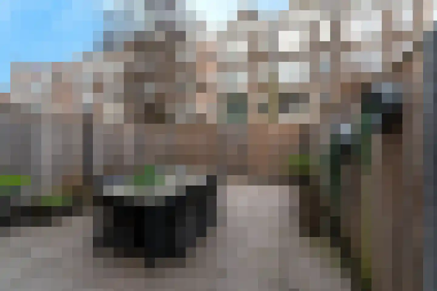 Rosenveldtstraat 49 Rotterdam thumbnail 25