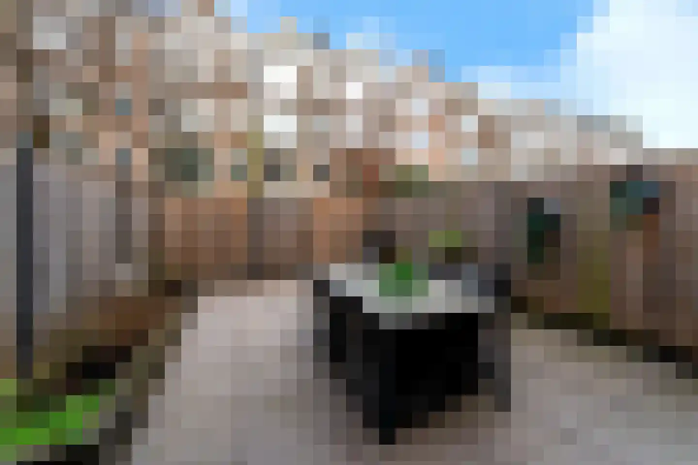 Rosenveldtstraat 49 Rotterdam thumbnail 26