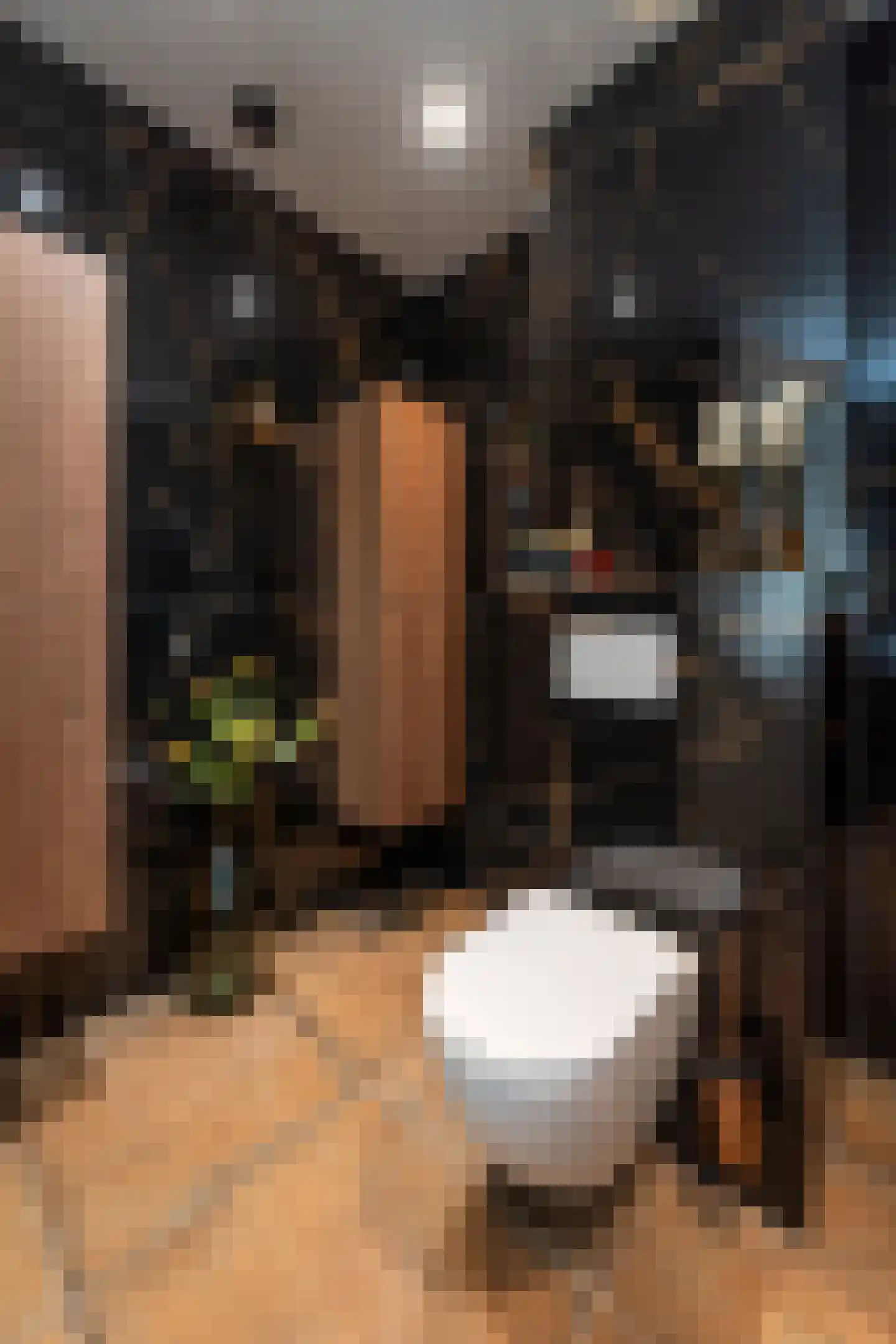 Rosenveldtstraat 49 Rotterdam thumbnail 5