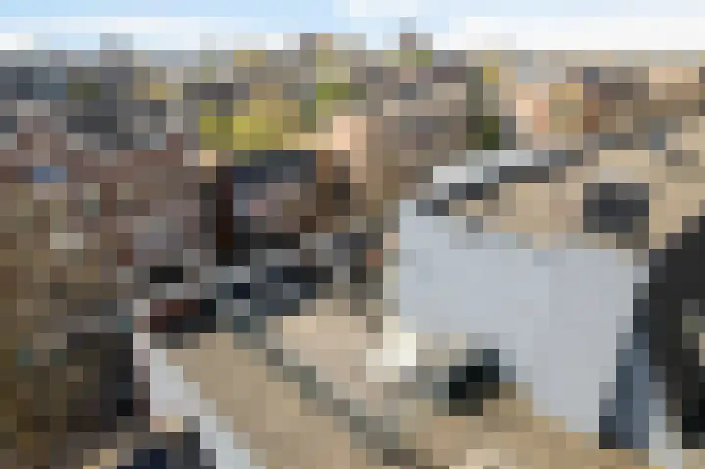 Rosenveldtstraat 7 G Rotterdam thumbnail 39