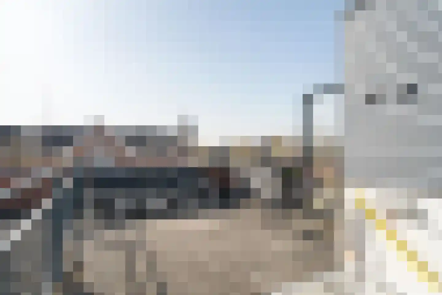 Rosenveldtstraat 7 H Rotterdam thumbnail 34