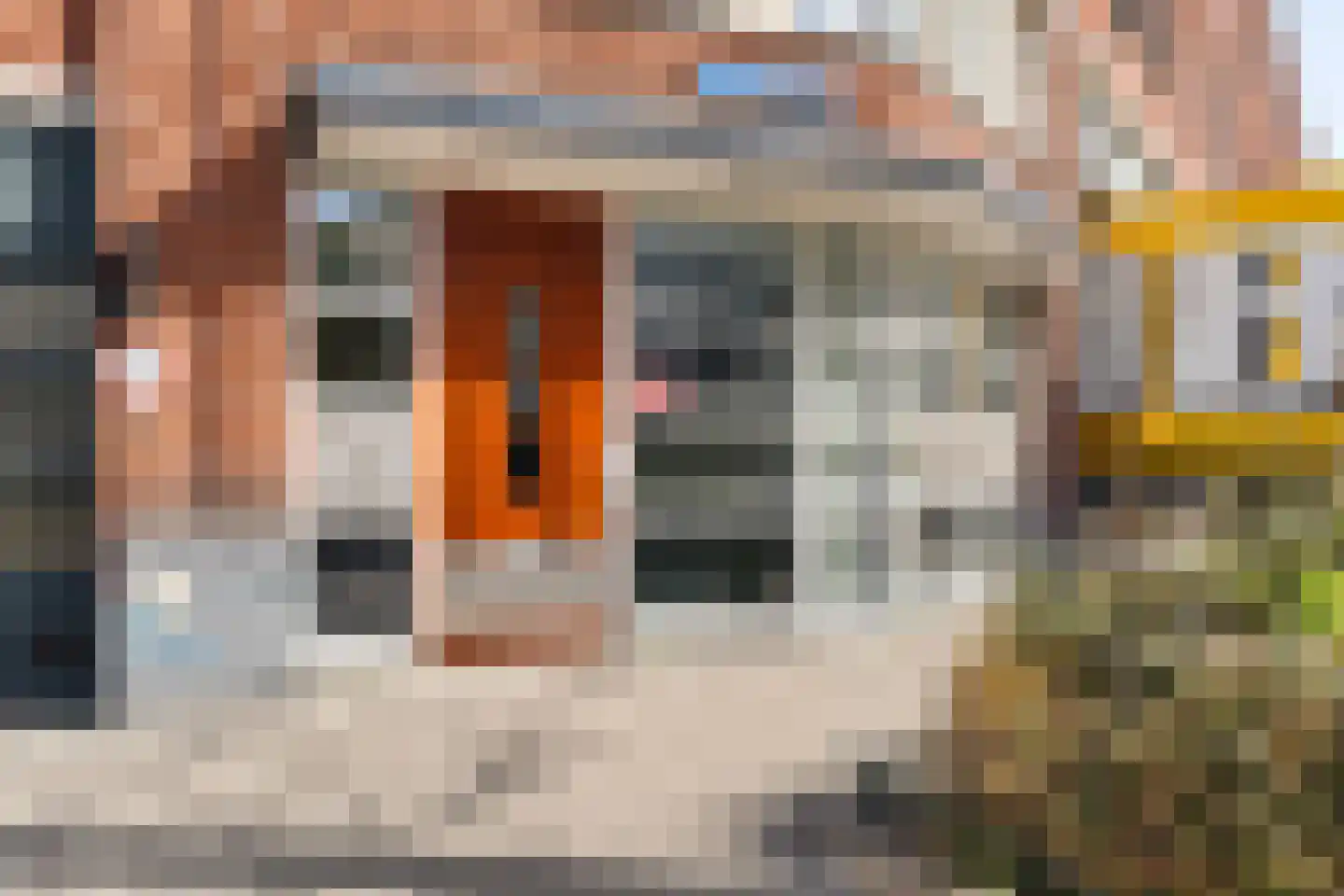Rosenveldtstraat 7 H Rotterdam thumbnail 6