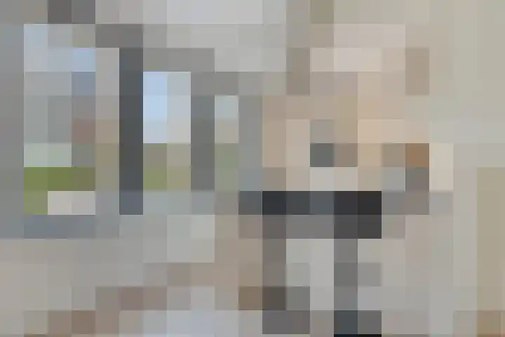 Rosep 12 Veldhoven thumbnail 10