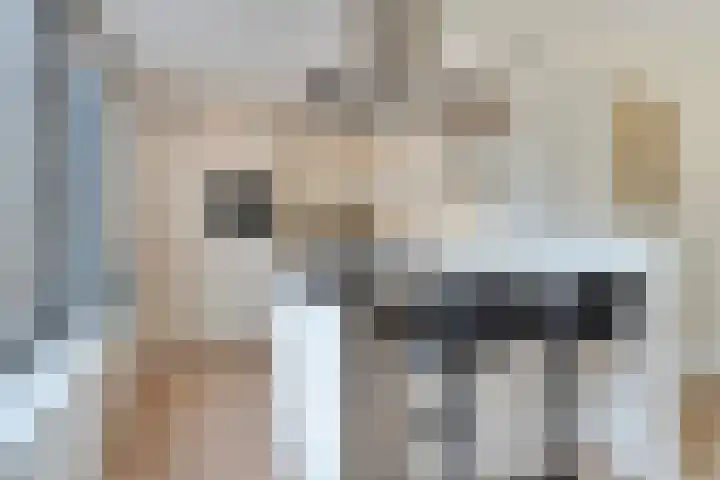 Rosep 12 Veldhoven thumbnail 11
