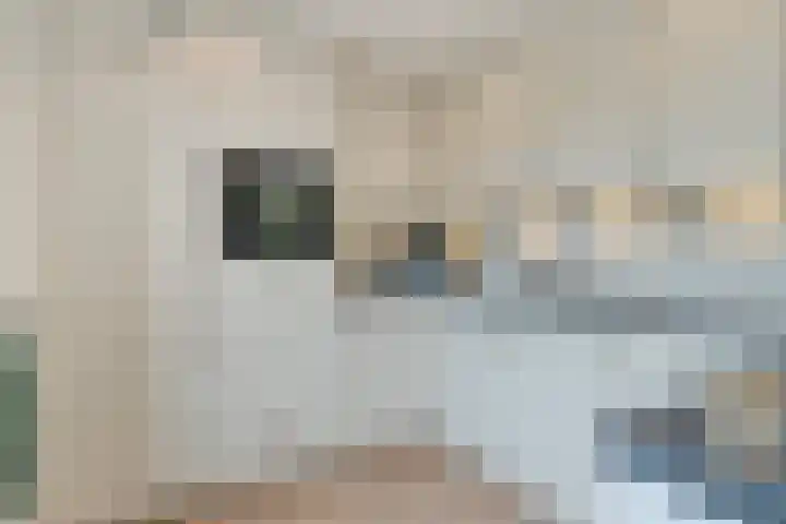 Rosep 12 Veldhoven thumbnail 12