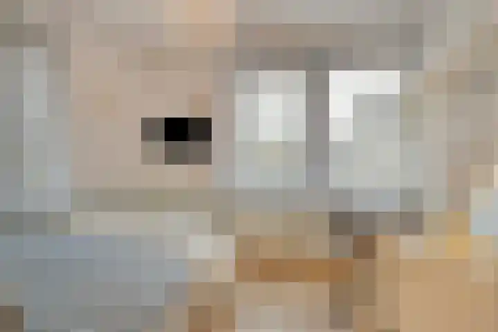 Rosep 12 Veldhoven thumbnail 18