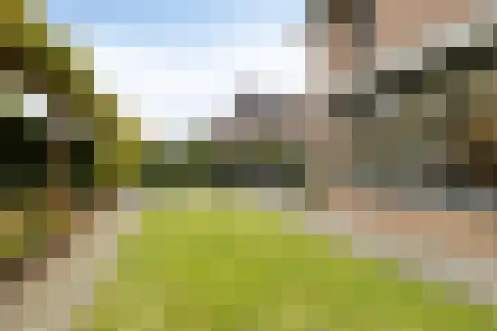 Rosep 12 Veldhoven thumbnail 32