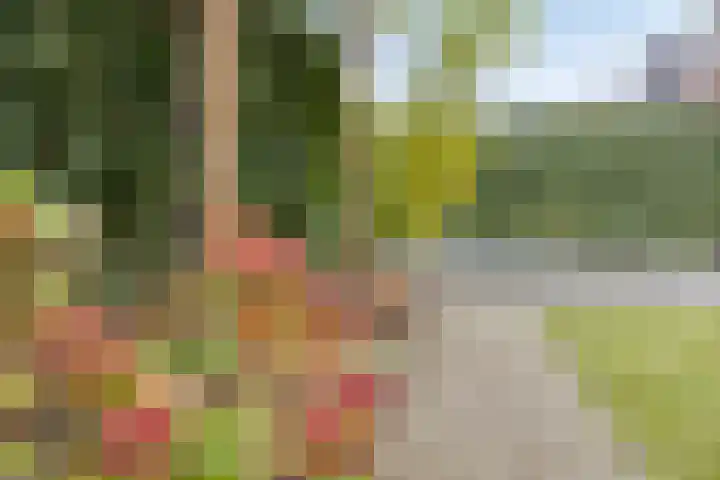 Rosep 12 Veldhoven thumbnail 33