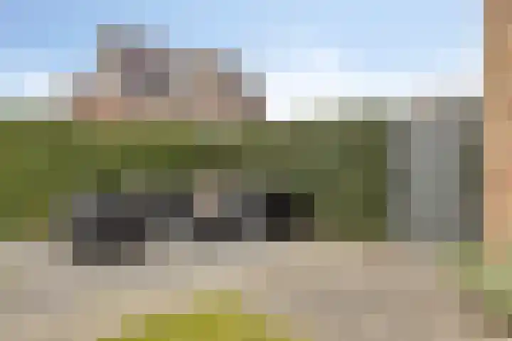 Rosep 12 Veldhoven thumbnail 34